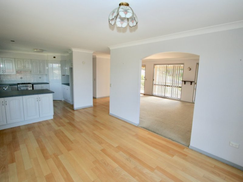 Photo - 43 Lakeview Terrace, Bilambil Heights NSW 2486 - Image 5