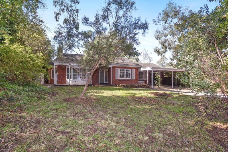 Photo - 43 Lindsay Terrace, Belair SA 5052 - Image 25