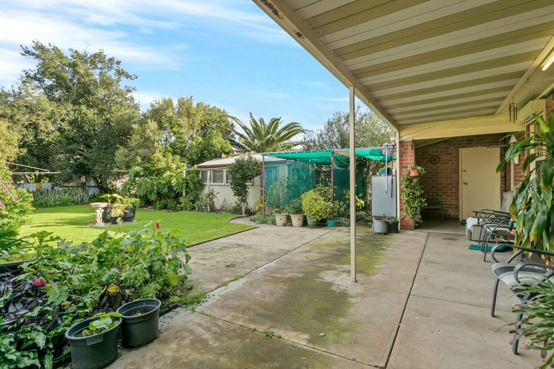 Photo - 43 Marmion Avenue, Blair Athol SA 5084 - Image 9