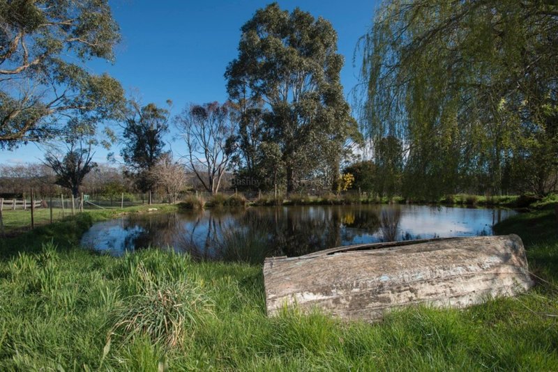 Photo - 43 Mary Street, Westbury TAS 7303 - Image 22