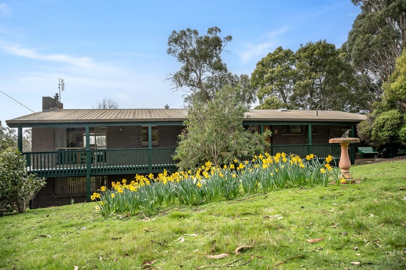 43 Masons Road, Rosevears TAS 7277