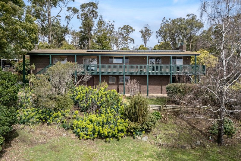 Photo - 43 Masons Road, Rosevears TAS 7277 - Image 17