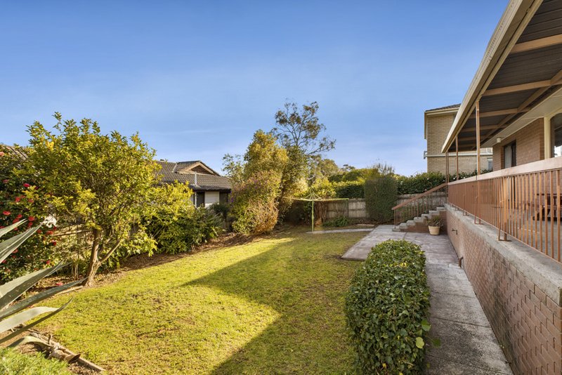 Photo - 43 Orchard Street, Glen Waverley VIC 3150 - Image 10