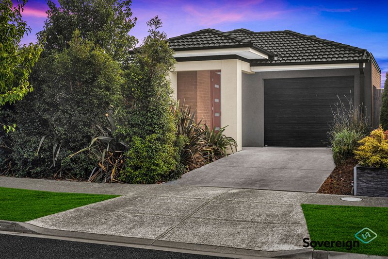 Photo - 43 Pitfield Avenue, Cranbourne East VIC 3977 - Image 15