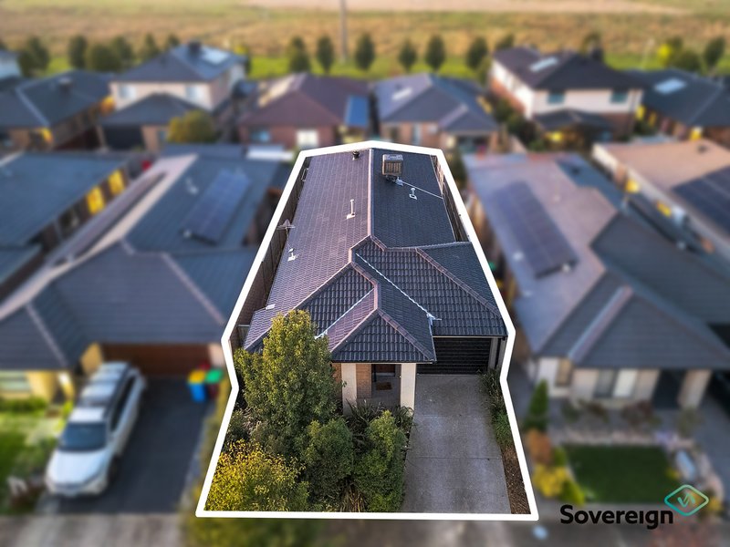 Photo - 43 Pitfield Avenue, Cranbourne East VIC 3977 - Image 21
