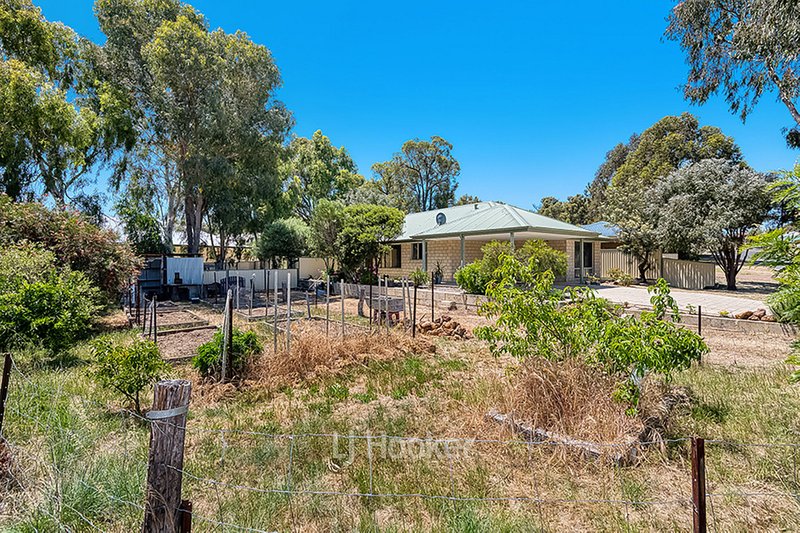 Photo - 43 Porter Street, Collie WA 6225 - Image 3