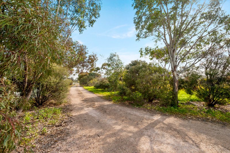 Photo - 43 Pryors Lane, Moonta SA 5558 - Image 5