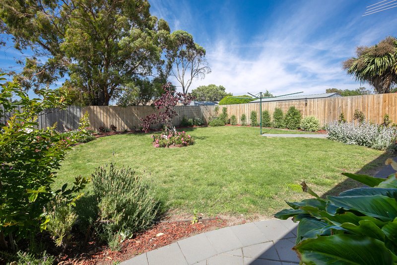 Photo - 43 Reghon Drive, Sunbury VIC 3429 - Image 14