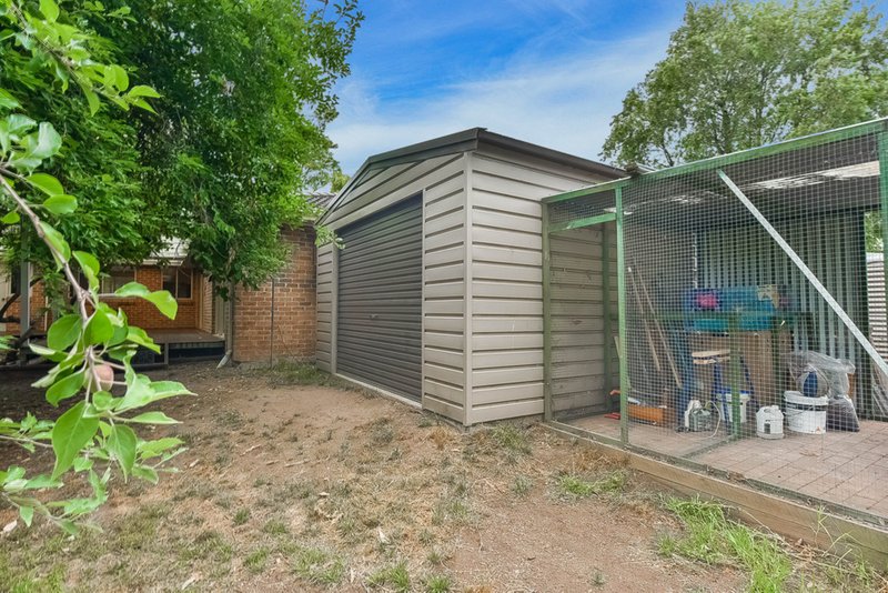 Photo - 43 Richardson Street, Thirlmere NSW 2572 - Image 18