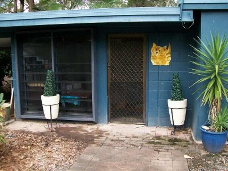 Photo - 43 Rutch Rd , Doonan QLD 4562 - Image 7