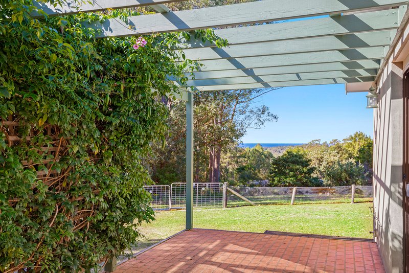 Photo - 43 Spring Place, Bingie NSW 2537 - Image 12