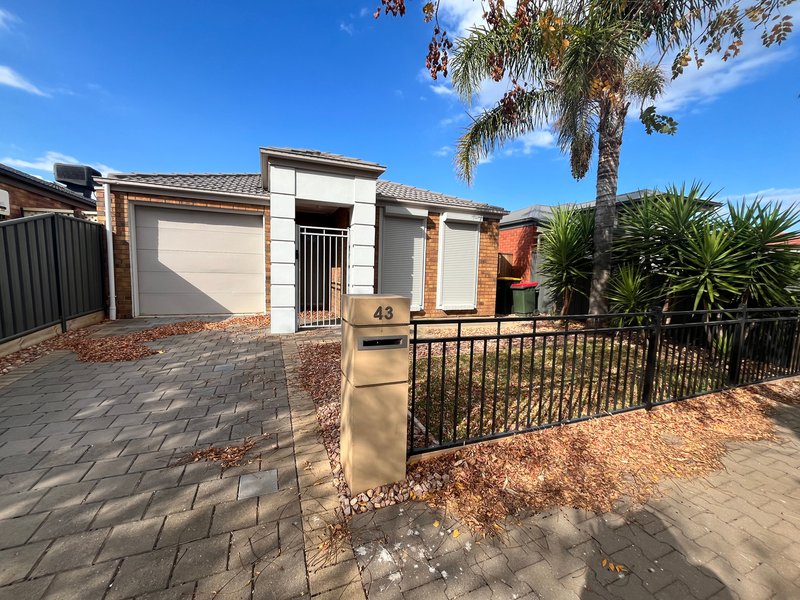 43 St Clair Avenue, Andrews Farm SA 5114