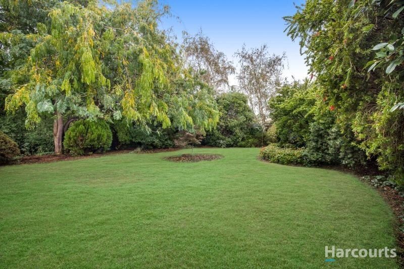 Photo - 43 Stoddarts Road, Warragul VIC 3820 - Image 11