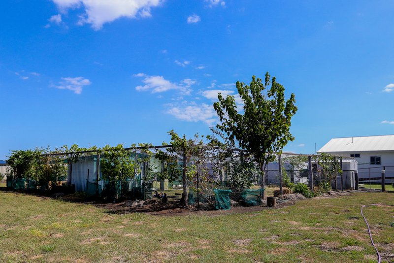 Photo - 43 Tedman Street, Clifton QLD 4361 - Image 20