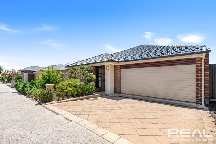 Photo - 43 The Avenue, Blakeview SA 5114 - Image 2