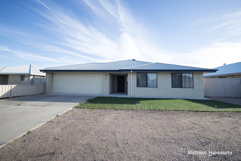 Photo - 43 Thistle Avenue, Bandy Creek WA 6450 - Image 2