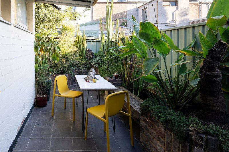Photo - 43 Trafalgar Street, Enmore NSW 2042 - Image 5