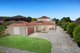 Photo - 43 Trisha Drive, Rowville VIC 3178 - Image 1