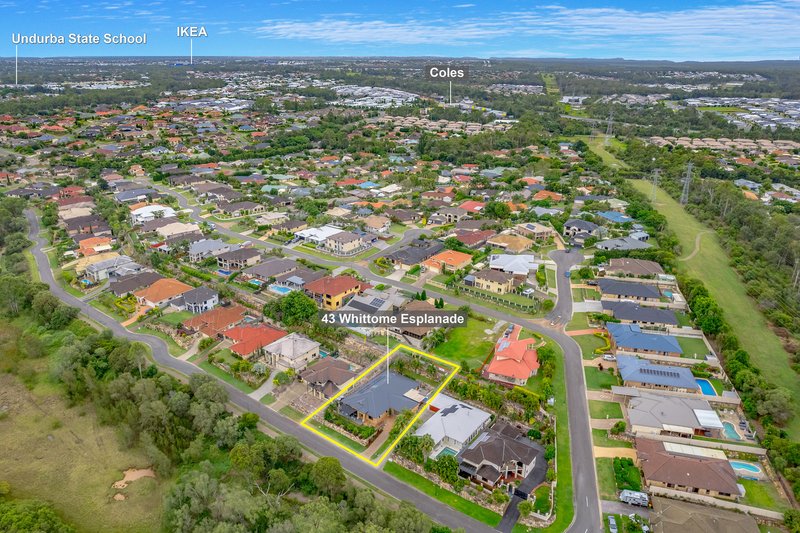 Photo - 43 Whittome Esplanade, Murrumba Downs QLD 4503 - Image 24