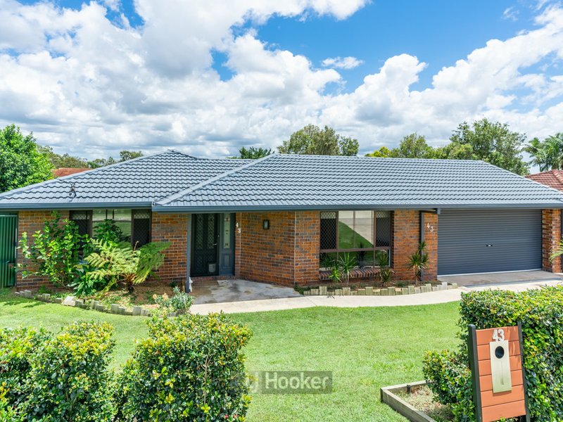 Photo - 43 Wilson Drive, Camira QLD 4300 - Image 1