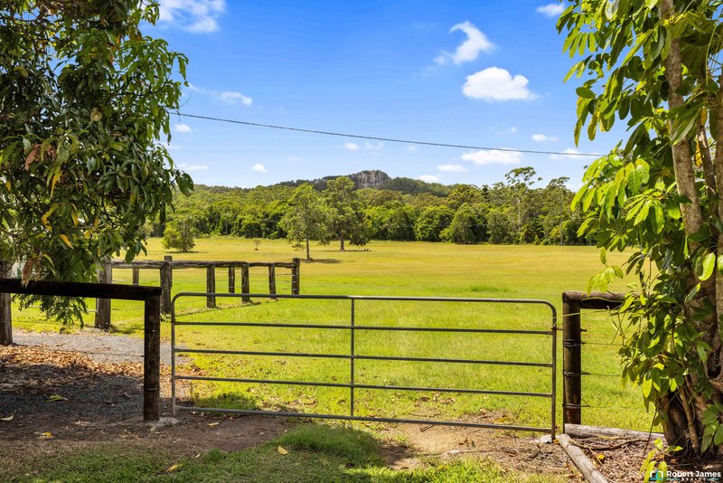 Photo - 43 Worba Lane, Tinbeerwah QLD 4563 - Image 27