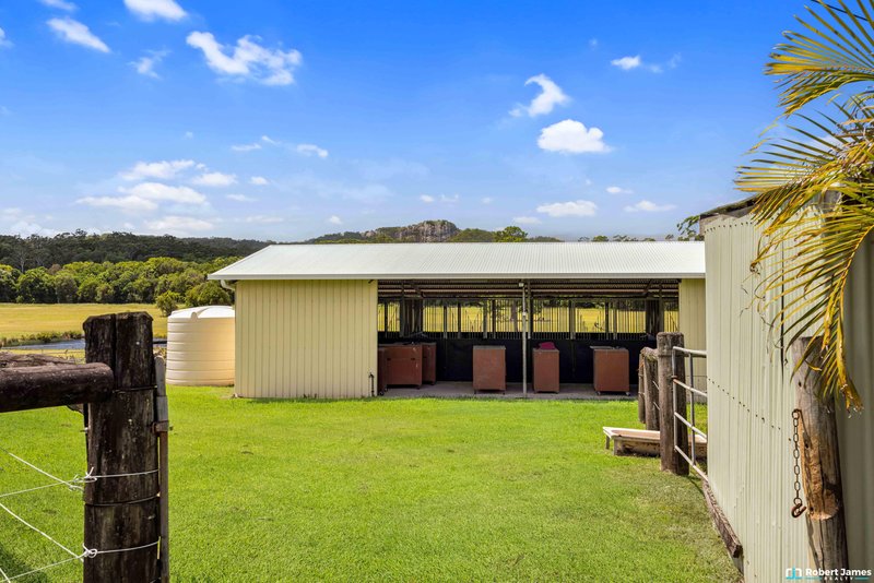 Photo - 43 Worba Lane, Tinbeerwah QLD 4563 - Image 29