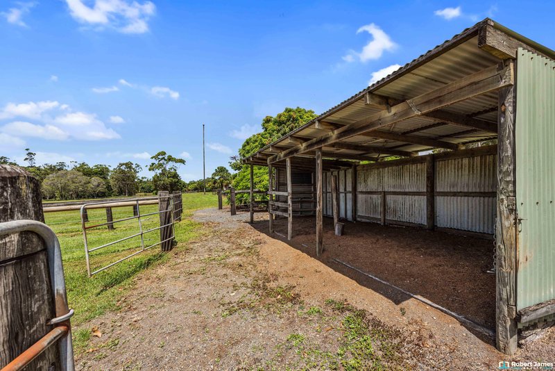 Photo - 43 Worba Lane, Tinbeerwah QLD 4563 - Image 31