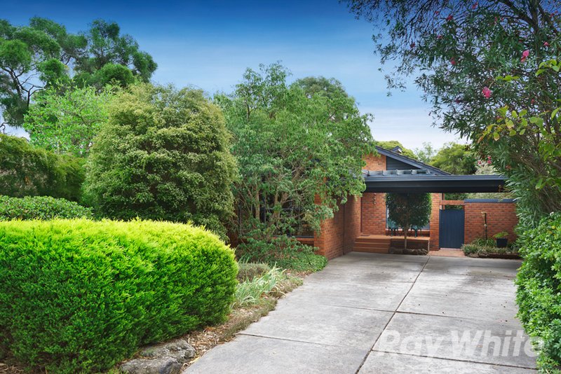 43 York Street, Glen Waverley VIC 3150