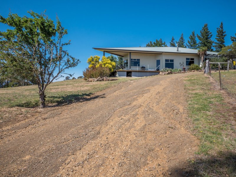 Photo - 430 Black Hills Road, Black Hills Road, New Norfolk TAS 7140 - Image 8