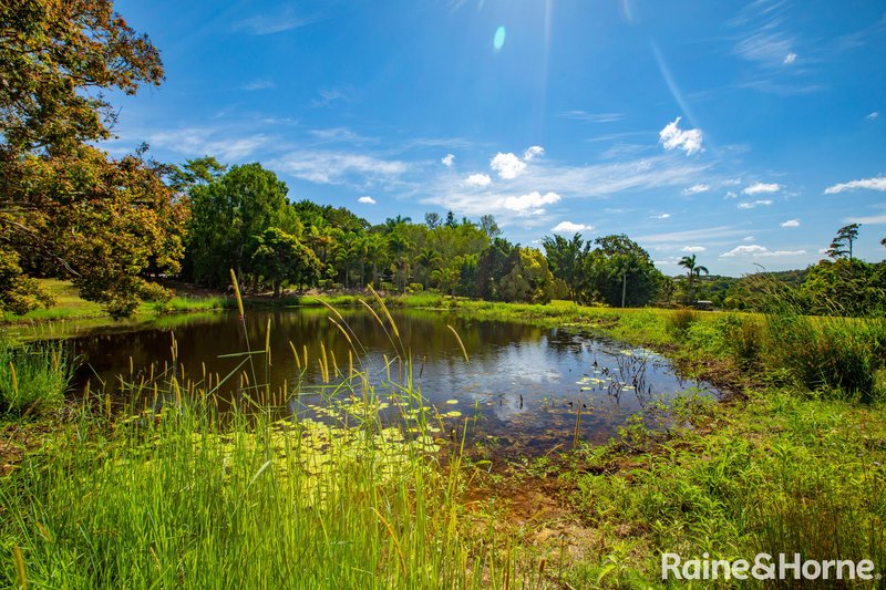 Photo - 430 Black Mountain Road, Black Mountain QLD 4563 - Image 13