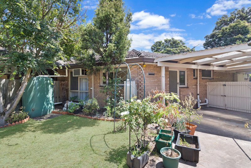 Photo - 430 Blackburn Road, Glen Waverley VIC 3150 - Image 8