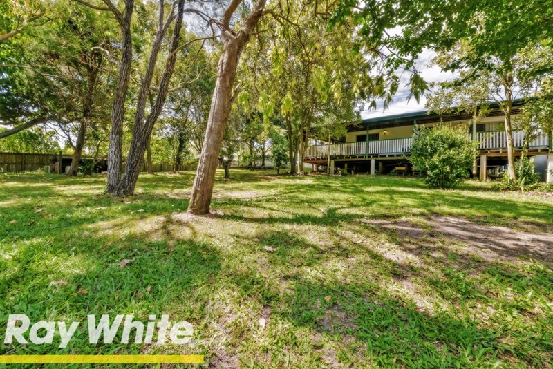 Photo - 430 Boundary Road, Dakabin QLD 4503 - Image 4