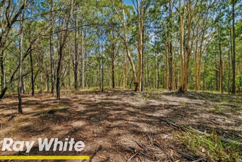 Photo - 430 Boundary Road, Dakabin QLD 4503 - Image 15