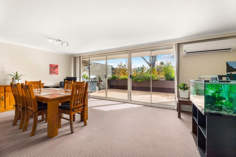 Photo - 4/30 Gatton Street, Farrer ACT 2607 - Image 6