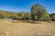 Photo - 430 Nierinna Road, Margate TAS 7054 - Image 22