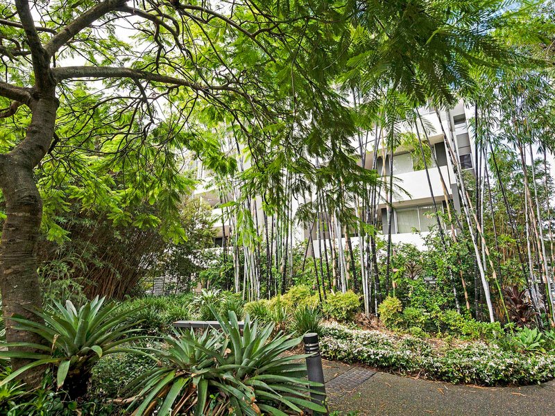 Photo - 4302/141 Campbell Street, Bowen Hills QLD 4006 - Image 3