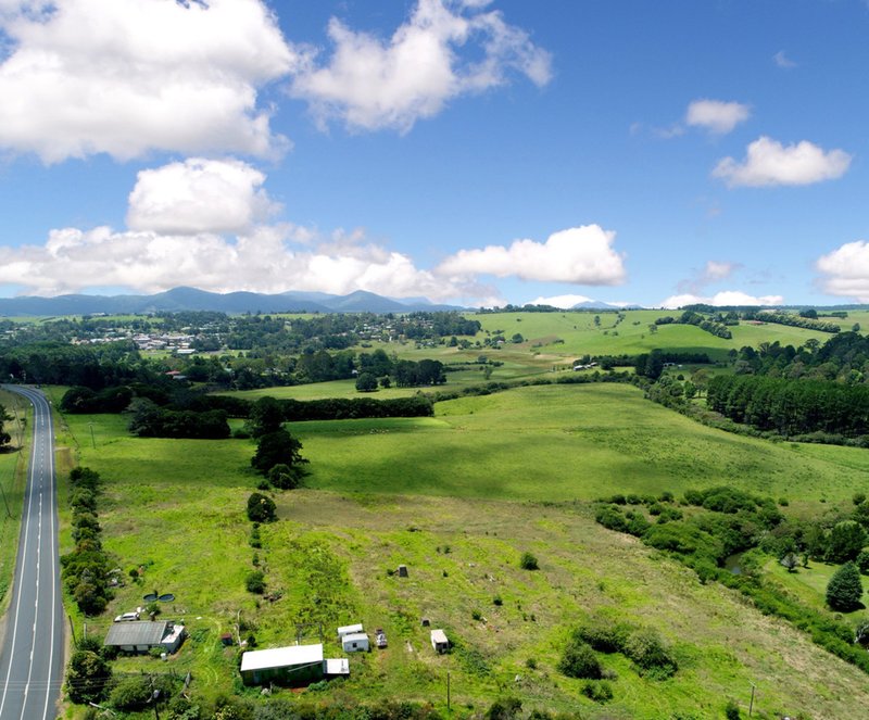 4303 Waterfall Way, Dorrigo NSW 2453