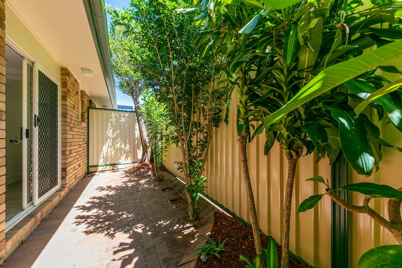 Photo - 4/31 Baden Powell Street, Maroochydore QLD 4558 - Image 13