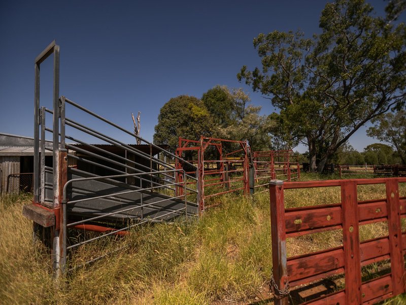 Photo - 431 Bakers Lane, Roma QLD 4455 - Image 8