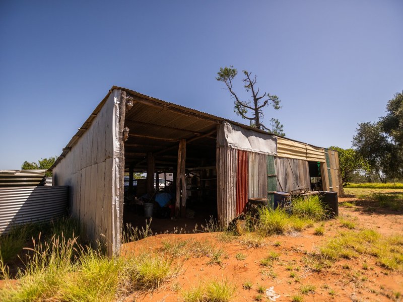 Photo - 431 Bakers Lane, Roma QLD 4455 - Image 12