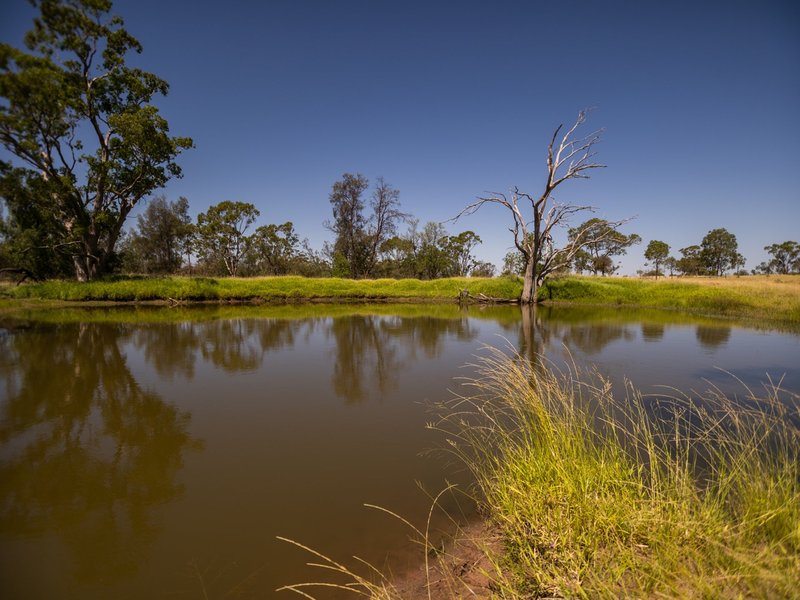 Photo - 431 Bakers Lane, Roma QLD 4455 - Image 20