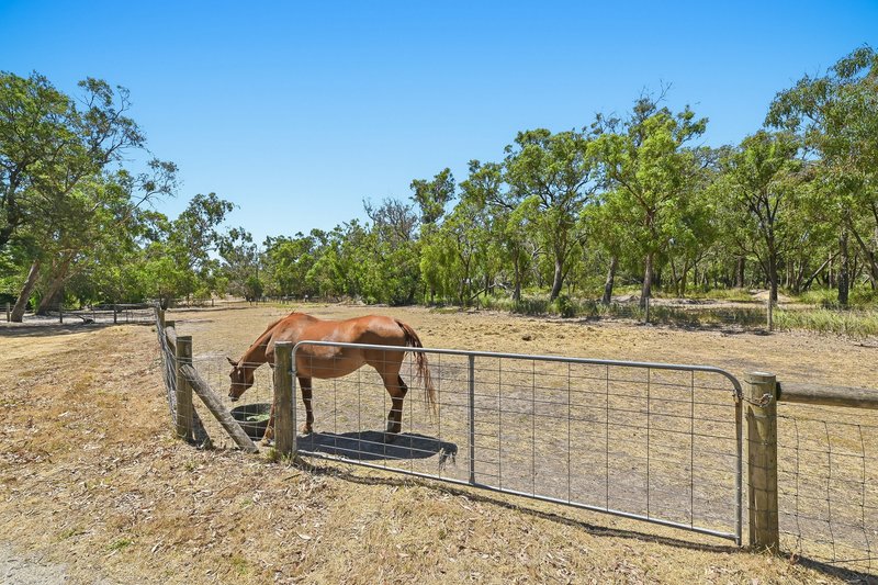Photo - 431 North Road, Langwarrin VIC 3910 - Image 21