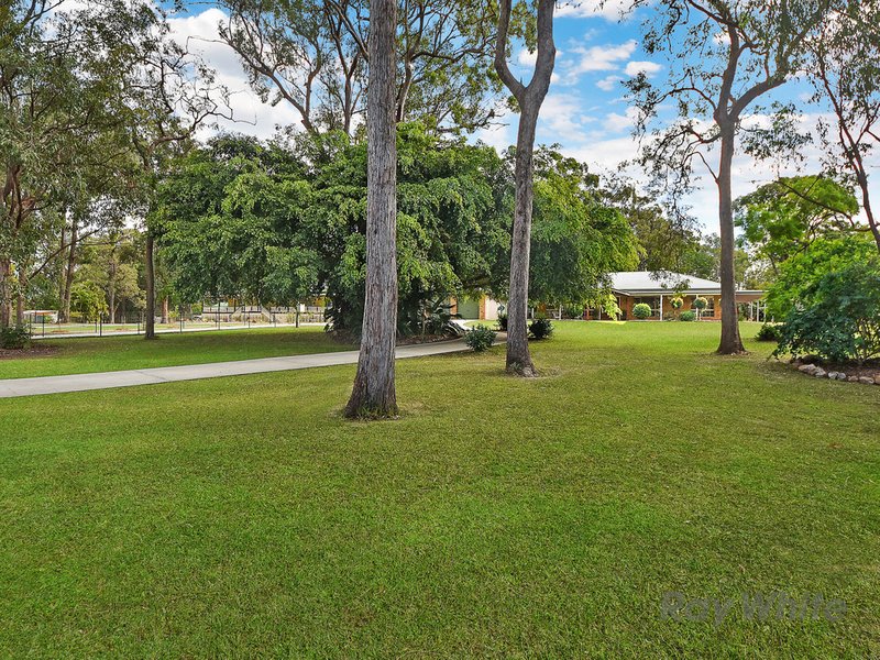 Photo - 431 Oakey Flat Road, Morayfield QLD 4506 - Image 26