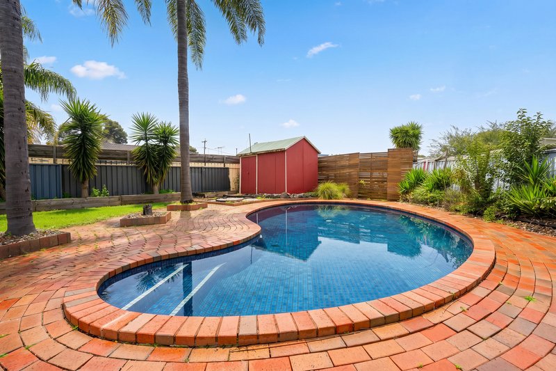 Photo - 432 English Avenue, Lavington NSW 2641 - Image 14