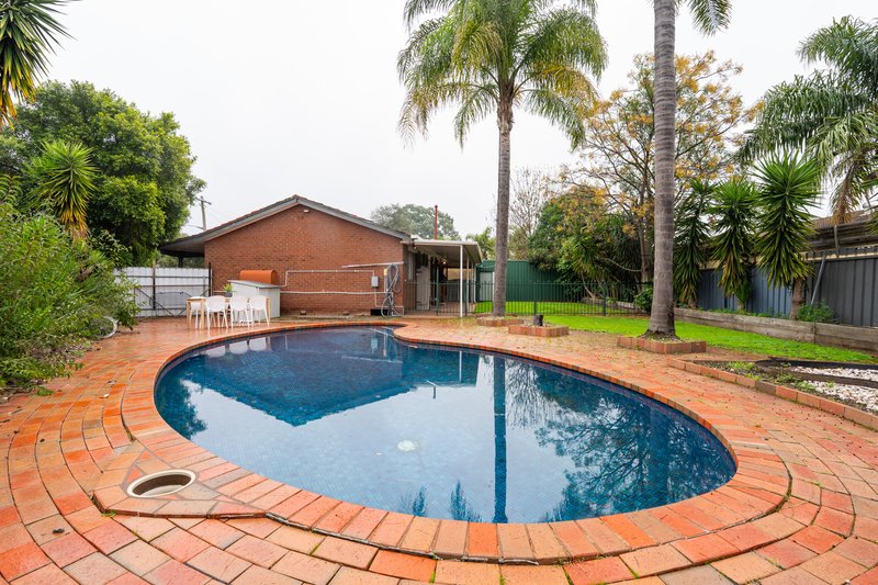 Photo - 432 English Avenue, Lavington NSW 2641 - Image 21