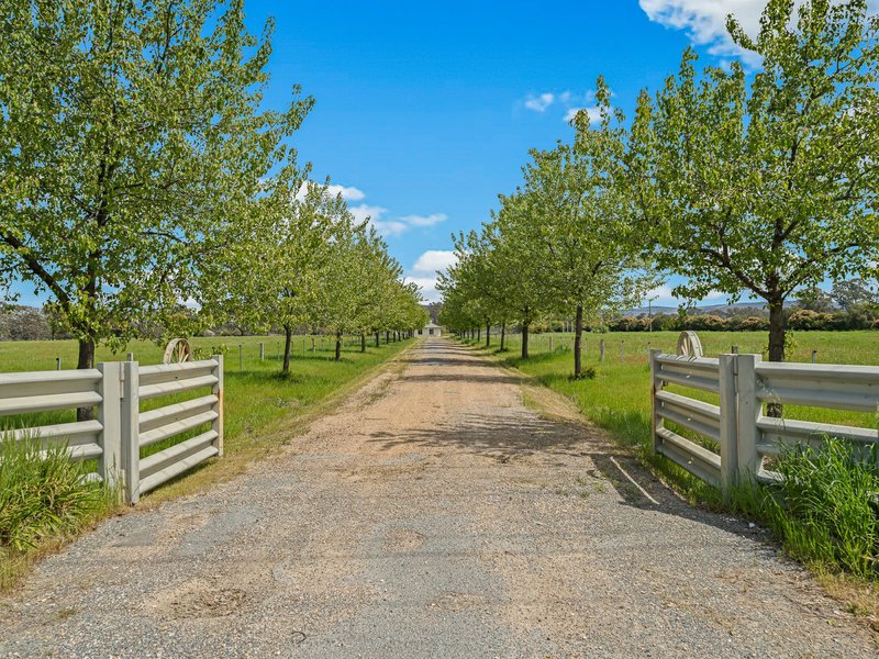 Photo - 432 Greta Road, Wangaratta VIC 3677 - Image 14