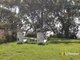 Photo - 43/2 Macleay Drive, Halekulani NSW 2262 - Image 14