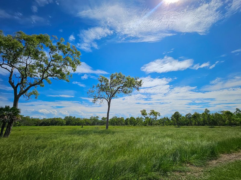 Photo - 432 Railway Avenue, Cooktown QLD 4895 - Image 21