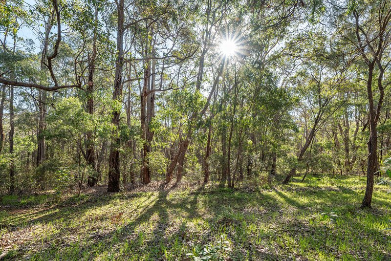 Photo - 435 Kevill Road, Margaret River WA 6285 - Image 30