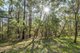 Photo - 435 Kevill Road, Margaret River WA 6285 - Image 30